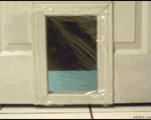 Plastic-Wrap-Door-Trick
