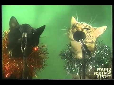 O Come All Ye Jingle Cats [Video]