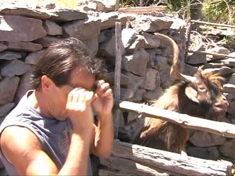Angry Spitting Goat Interview [video]