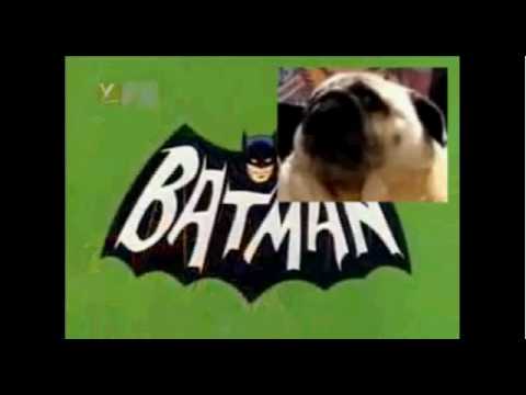 Dog Saying Batman [video]