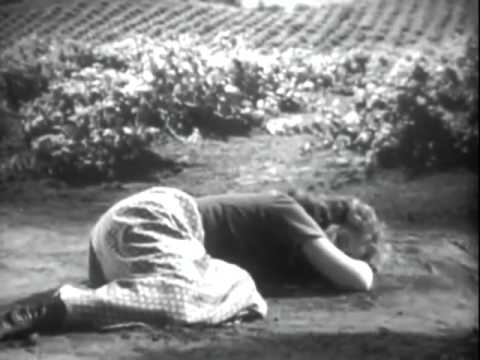 Charlie Chaplin – The Great Dictator Speech (with Inception Sountrack)
