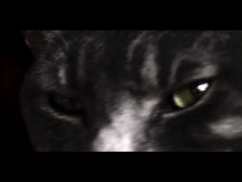 Guy Makes TV Intro for his Cat [Video]