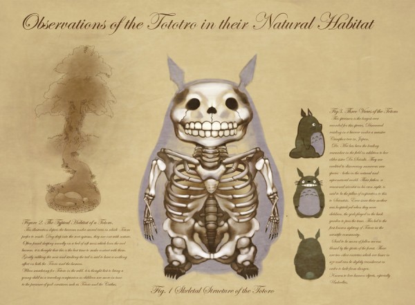 Anatomy of a Forest Spirit: My Neighbor Totoro Specimen Sheet