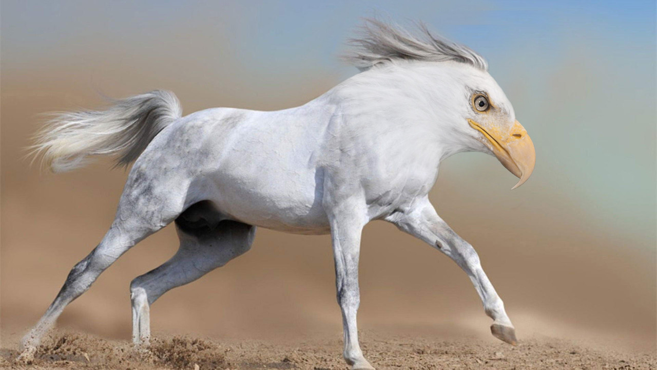 bobcat goldthwait talking horse horse with eagle head bobcat goldthwait talking horse horse with eagle head