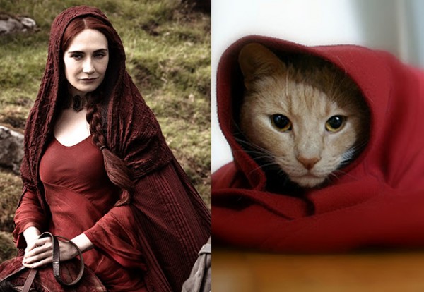 Melisandre - Game of Thrones Characters as Cats