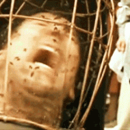 nicolas cage - not the bees - wicker man - gif