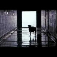 Badass Nightmare on Elm Street Montage from Freddy's Dead