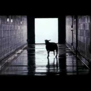 Badass Nightmare on Elm Street Montage from Freddy's Dead