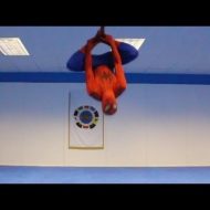 Video: Taekwondo Spider-Man Has Awesome Fighting Moves - Ginger Ninja Trickster